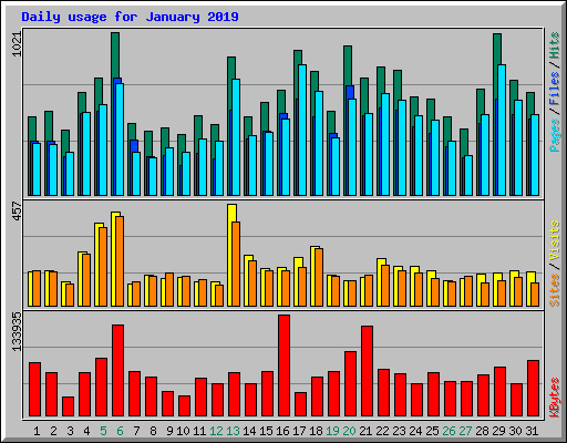 Daily usage for January 2019