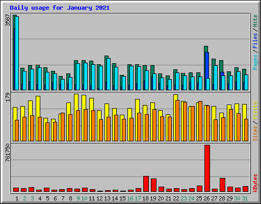 Daily usage for January 2021