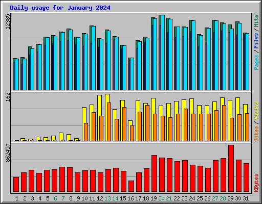 Daily usage for January 2024