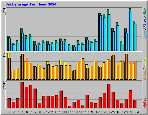 Daily usage for June 2024