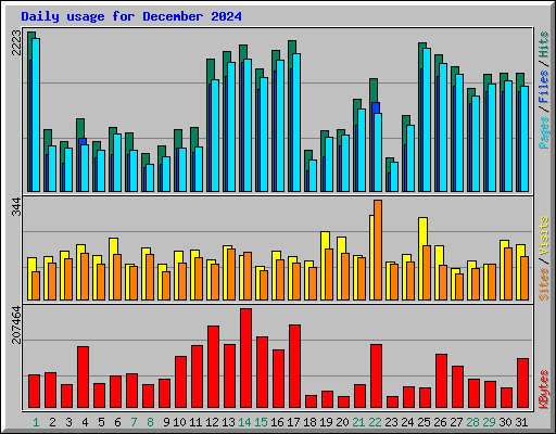 Daily usage for December 2024