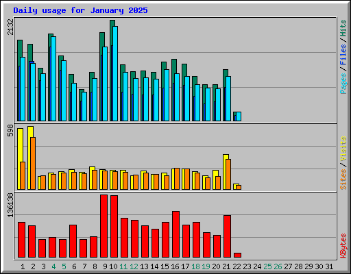 Daily usage for January 2025