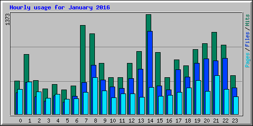 Hourly usage for January 2016