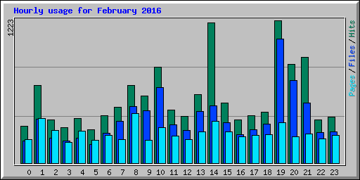 Hourly usage for February 2016