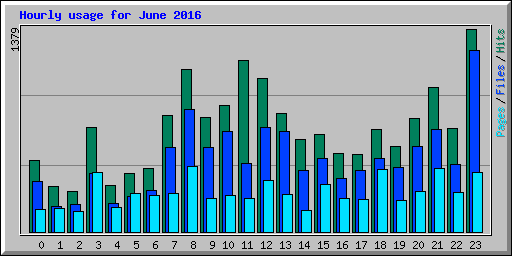 Hourly usage for June 2016