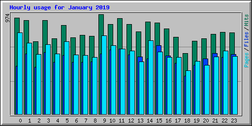 Hourly usage for January 2019