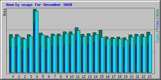 Hourly usage for December 2020