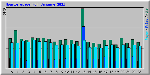 Hourly usage for January 2021