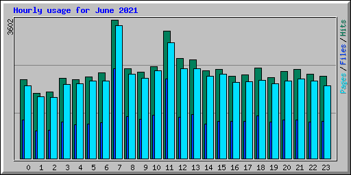 Hourly usage for June 2021