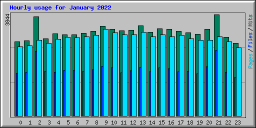 Hourly usage for January 2022