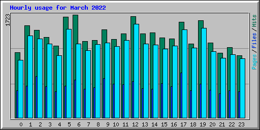 Hourly usage for March 2022