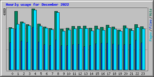 Hourly usage for December 2022