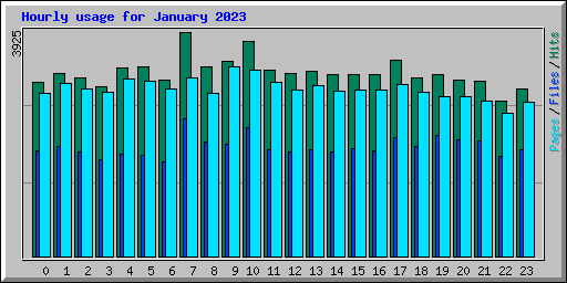 Hourly usage for January 2023