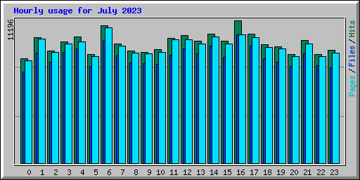 Hourly usage for July 2023