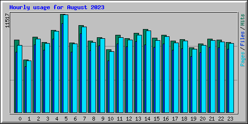 Hourly usage for August 2023