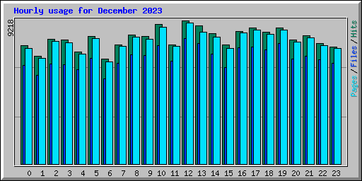 Hourly usage for December 2023