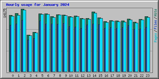 Hourly usage for January 2024