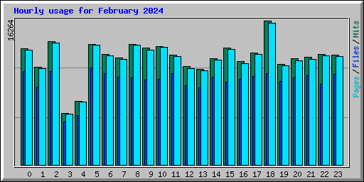 Hourly usage for February 2024