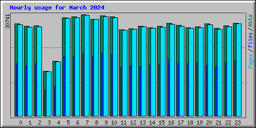 Hourly usage for March 2024