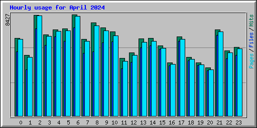 Hourly usage for April 2024