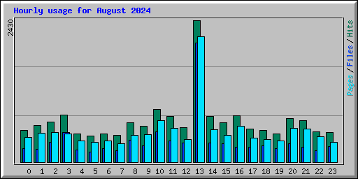 Hourly usage for August 2024