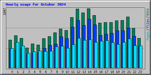 Hourly usage for October 2024