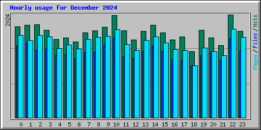 Hourly usage for December 2024