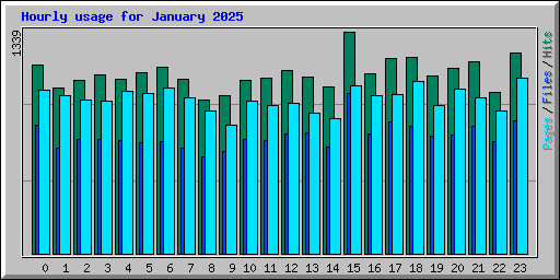 Hourly usage for January 2025